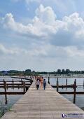 Nieuwbouw steigerbrug Blauwe stad, foto 2
